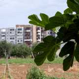 ...si respira ancora l�aria della campagna di una volta